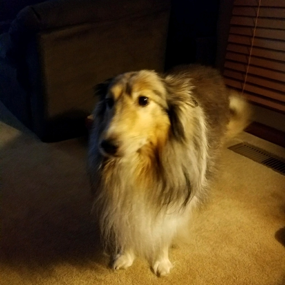 Meet your Posher, Raquel